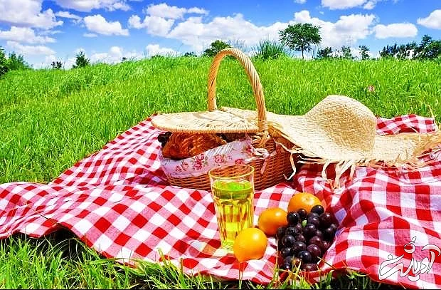 روز جهانی پیک نیک